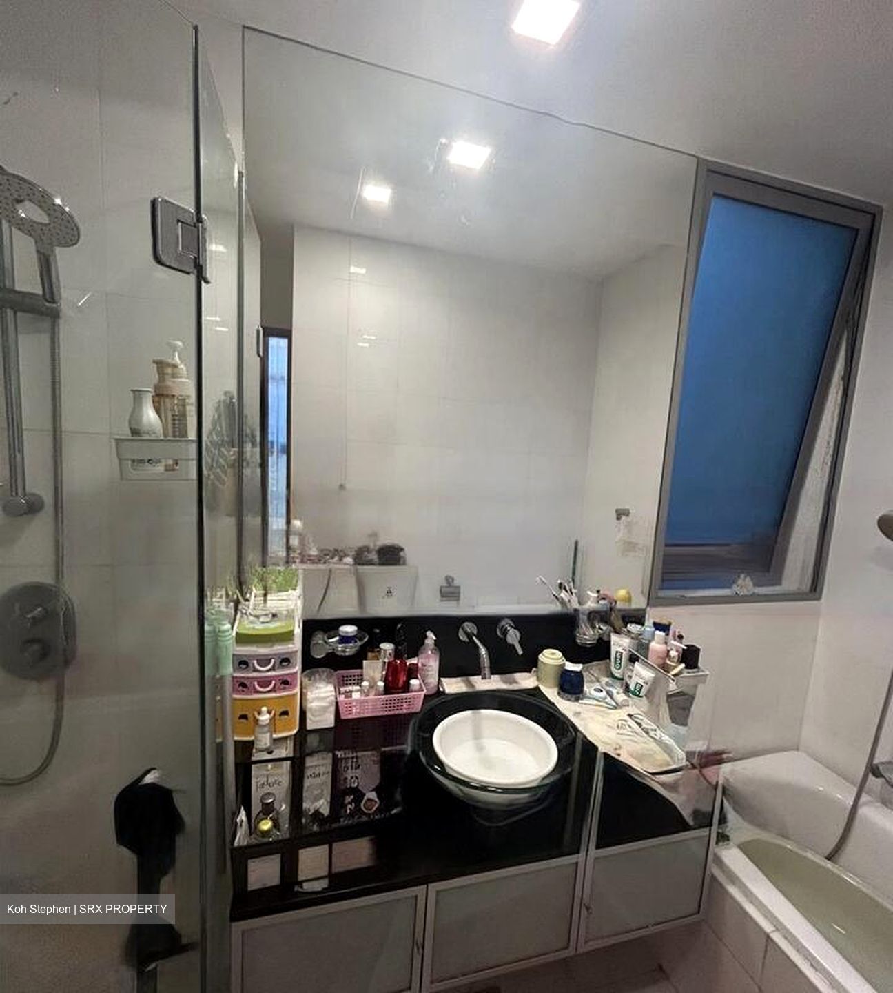 Malvern Springs (D15), Condominium #477832101